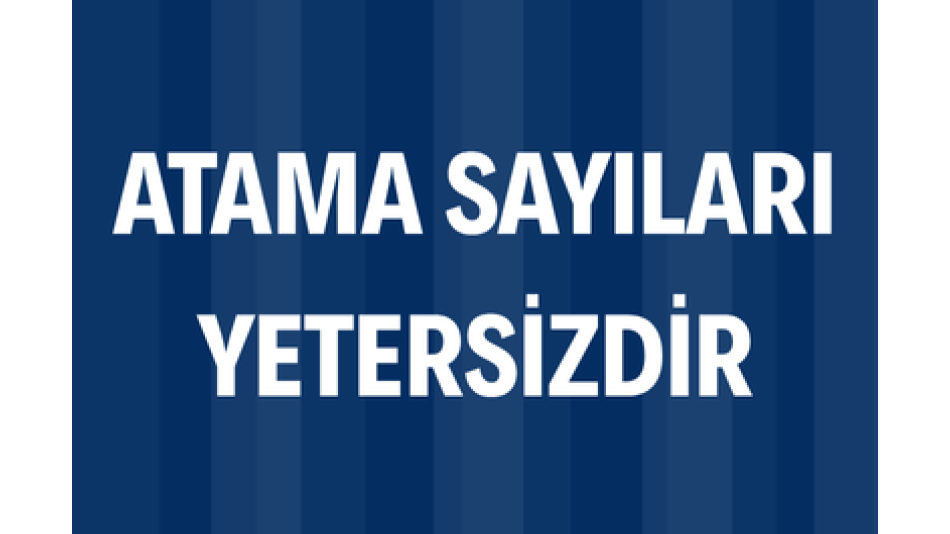 Atama Sayıları