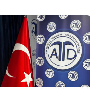 ELİF KAYA