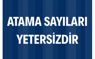 Atama Sayıları