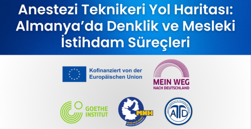 Almanya’da Denklik ve Mesleki İstihdam Süreçleri