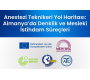 Webinar: Almanya’da Denklik ve Mesleki İstihdam Süreçleri